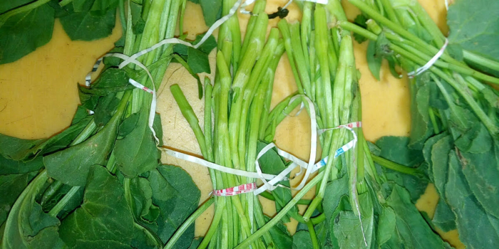 Letter to Minister of Enviroment, Forests, Science and Technolgy, Telangana: Stop Use of Plastic Strings for Packaging of Leafy Vegetables and Other Groceries